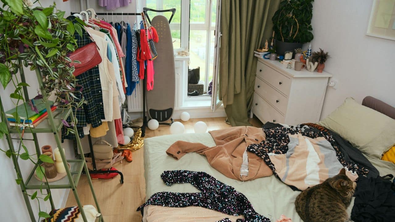 A cat lies on a messy bed with clothes and bags scattered around a room.