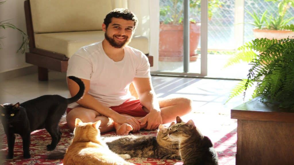 A man spending time with his cats