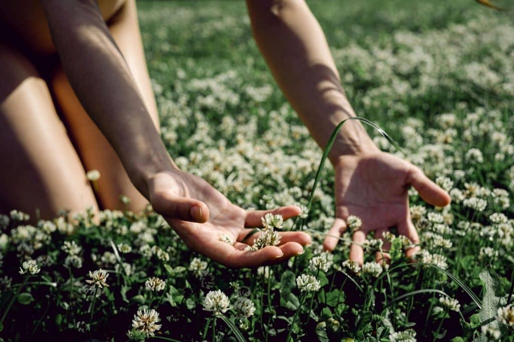 A person touching flowers and grass