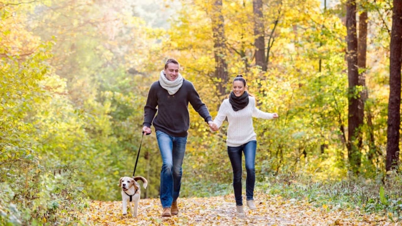 Couple holding hands while walking outdoors.