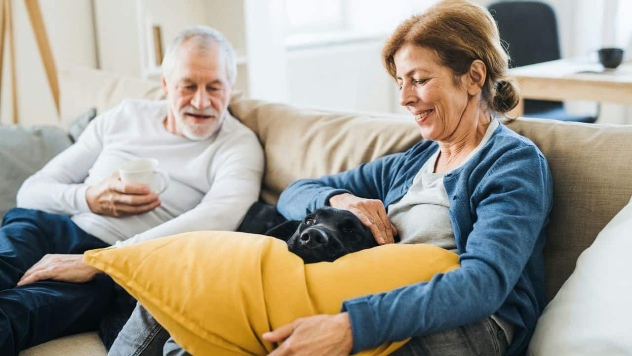 An elderly couple relaxes on a sofa, and the woman is petting a black dog.