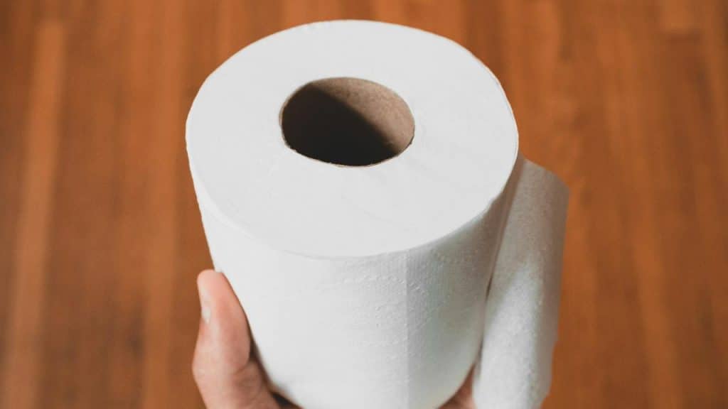 A person’s hand holding a roll of toilet paper.
