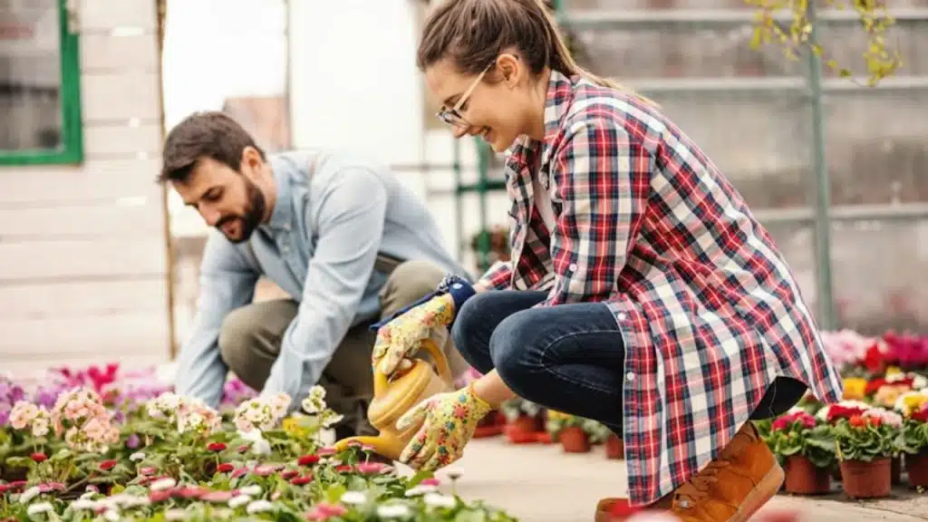 Couple watering and picking flowers in spring