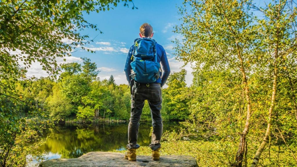 A hiker with a blue backpack stands on a rock, looking at a calm lake surrounded by trees under a blue sky.