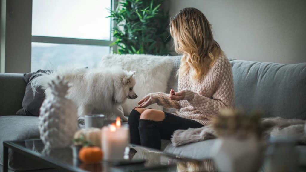 A woman in a sweater sits on a couch interacting with a fluffy white dog.