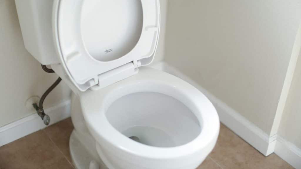 A toilet with a raised seat and lid is positioned in a corner.