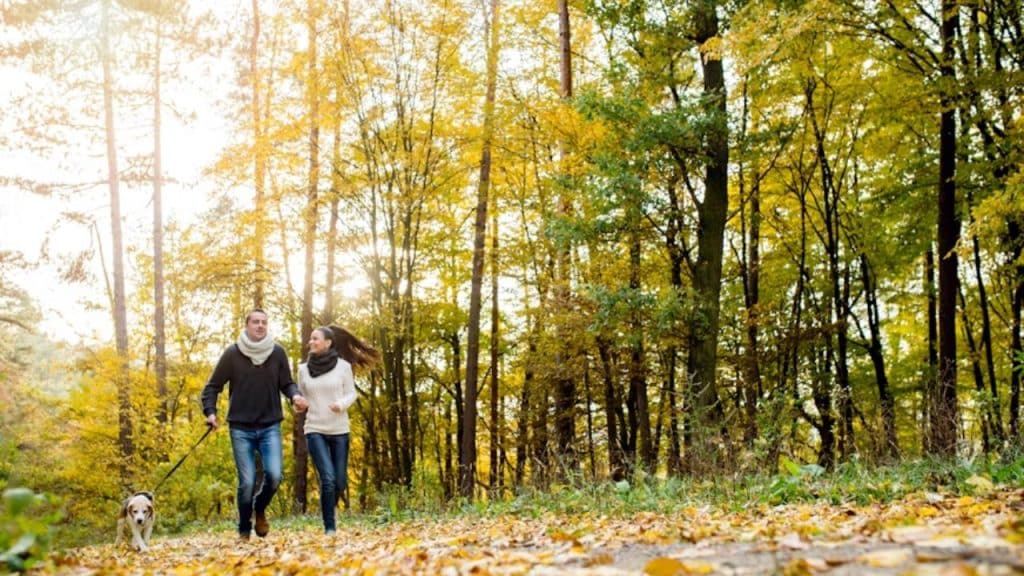 Couple walking in the park after work