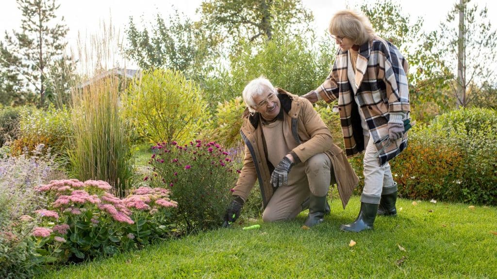 An elderly couple gardening together in a lush yard.