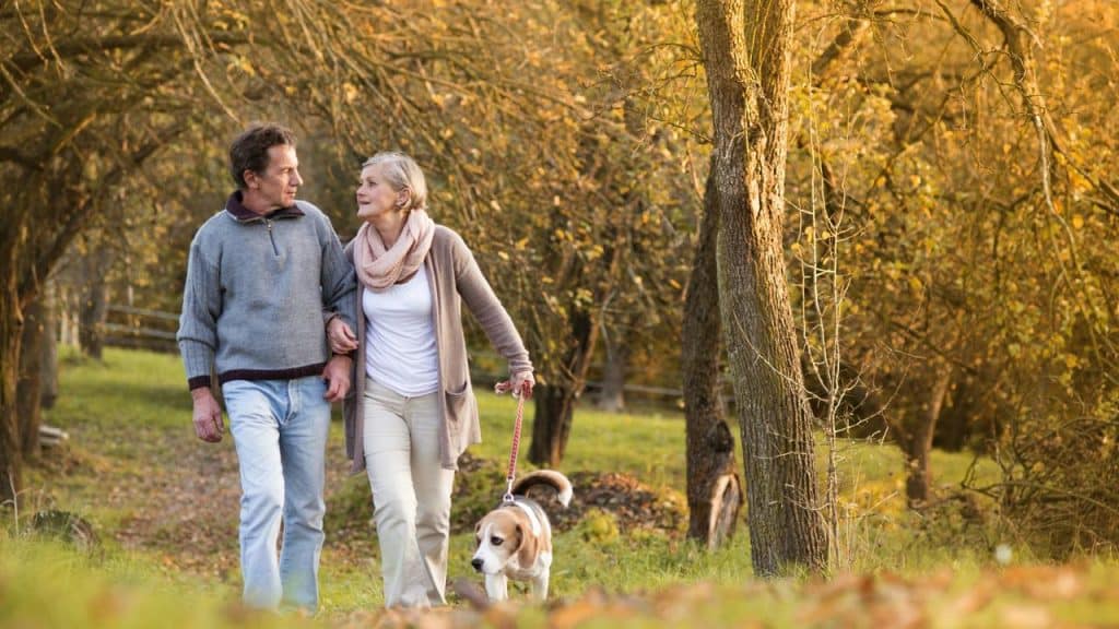 An elderly couple walking arm in arm with their dog in a park during autumn.