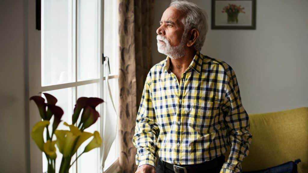 A bearded man in a plaid shirt stands near a window, looking out.
