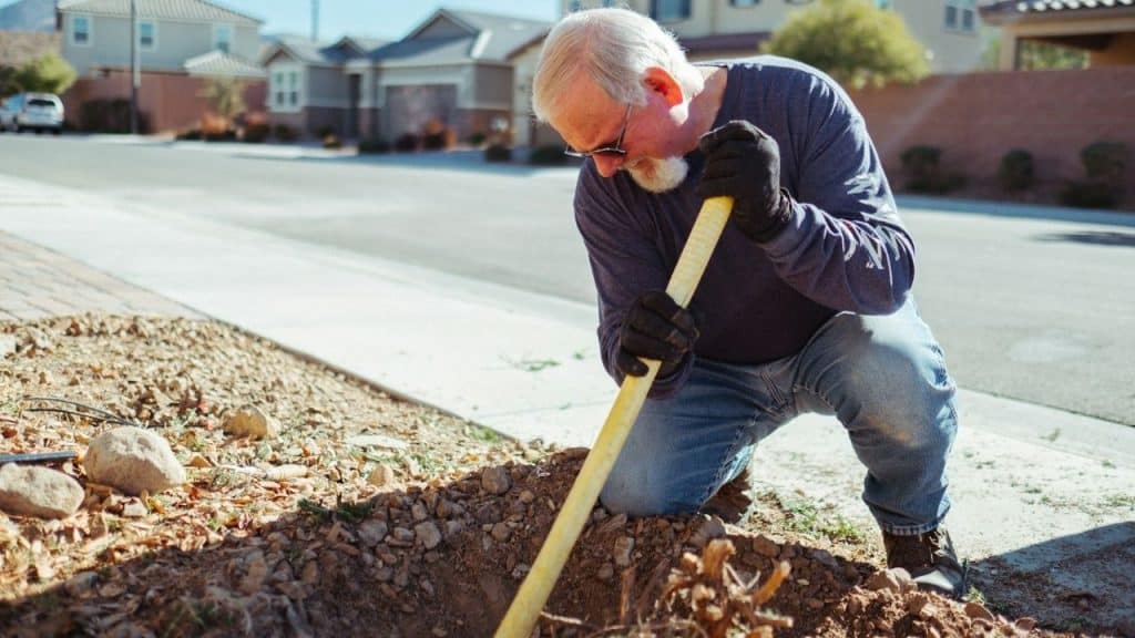 A focused senior man with a beard and glasses digs in the dirt with a shovel.