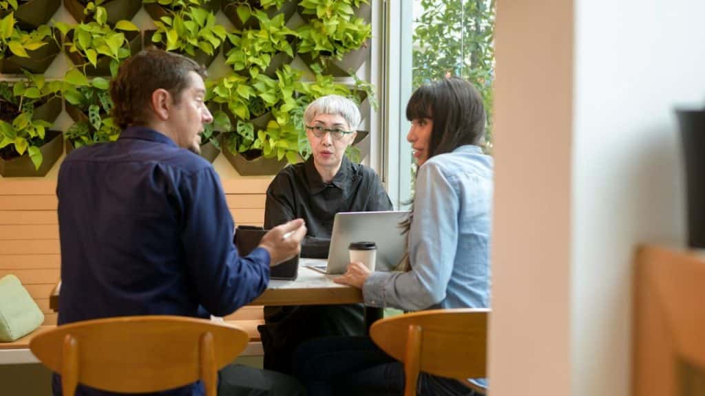 Three people sit at a table having a discussion in a cafe with a green plant wall.