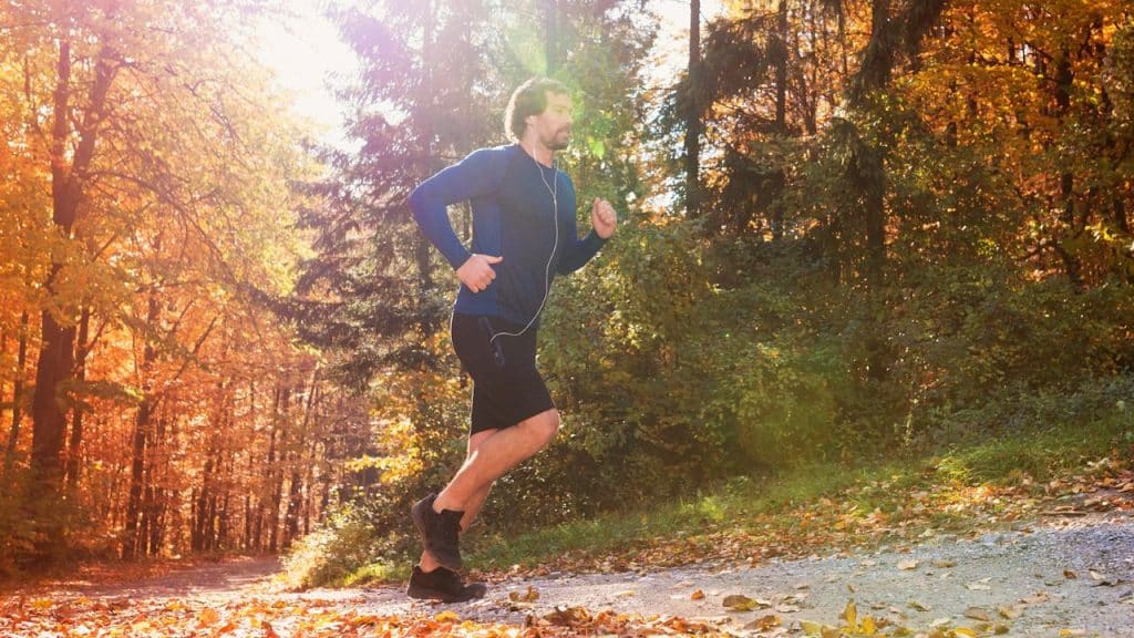 A fit man runs alone on a sunlit forest trail in the autumn.