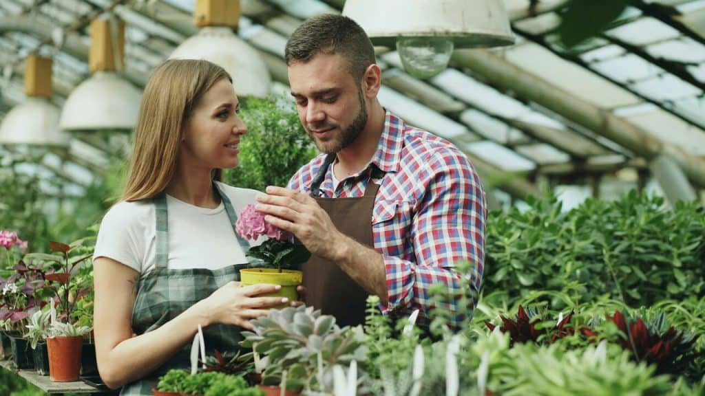 A couple gardening together 