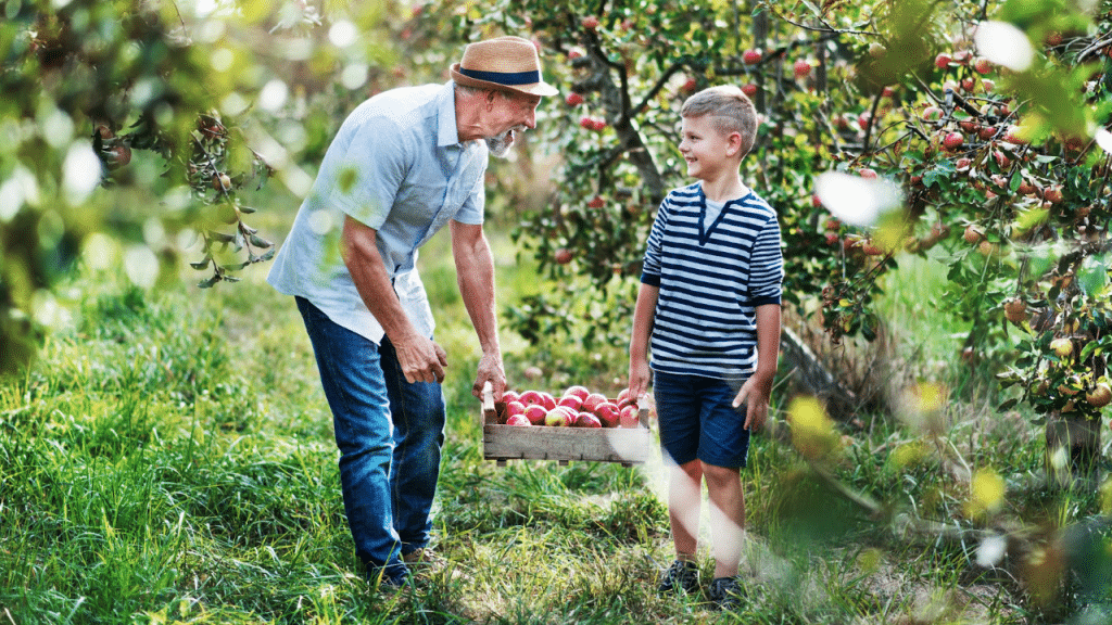 An older man with a hat holds a crate of apples for a young boy in an orchard.