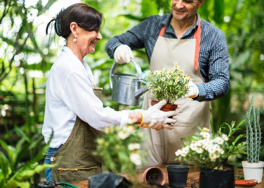 A couple helping each other watering the flowers.