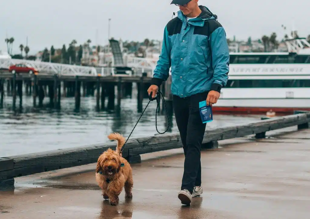 A man walking with his pet dog.