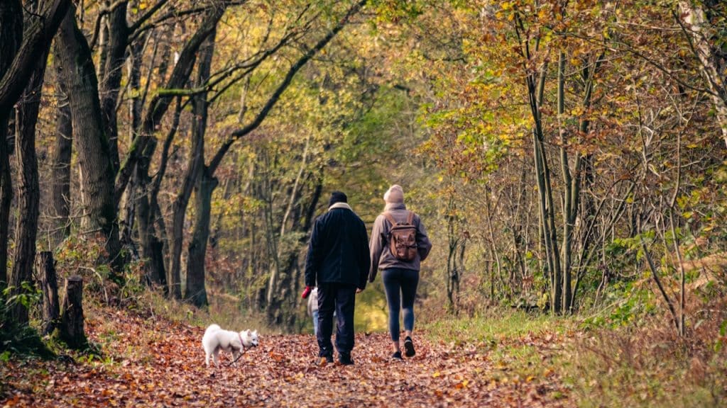A couple walking down a path in the forest with their dog.