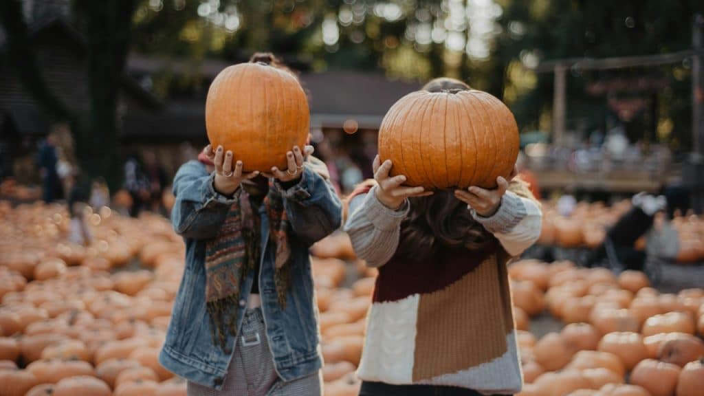 A couple holding up pumpkins in a pumpkin patch.