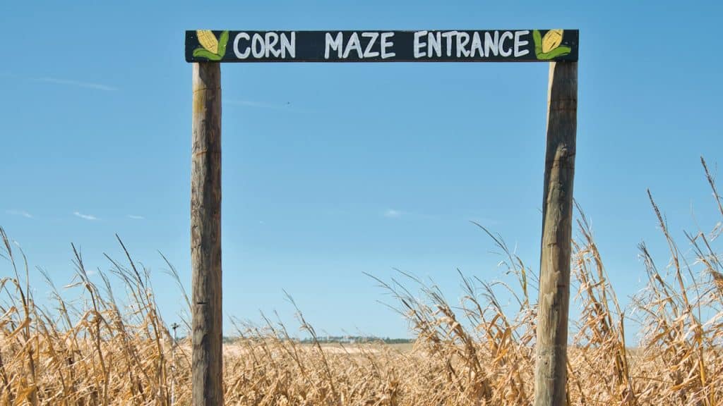 An entrance to a maize maze.