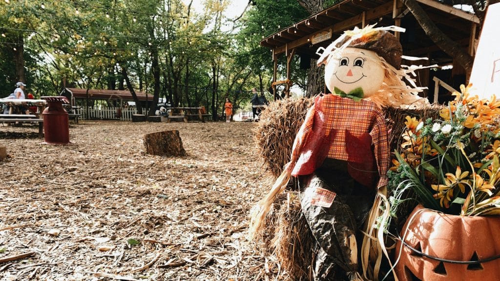 A scene from a fall festival with a straw mannequin in the front.