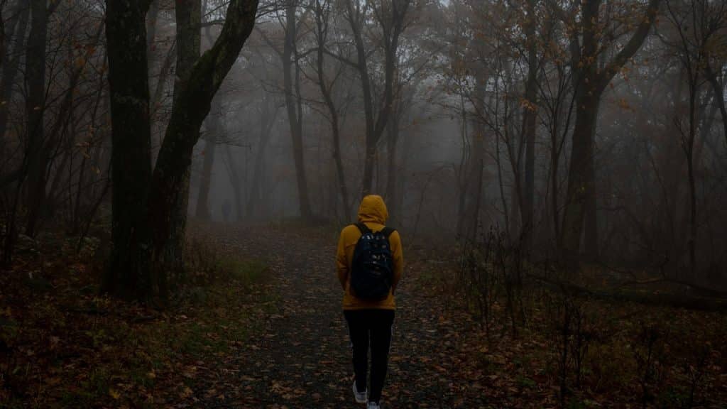 A man walking alone in a forest.
