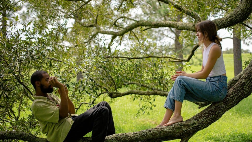 A man and a woman sitting on a tree branch.