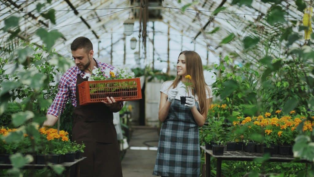 A Couple working in a greenhouse with plants.