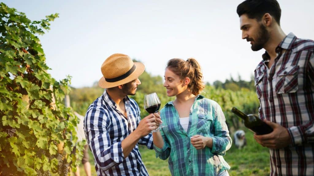 A woman and a man in a straw hat toast with red wine in a vineyard while a second man watches from the right.
