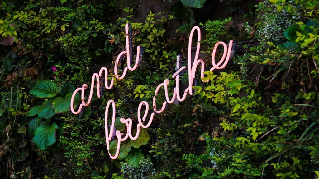 Neon lights saying “and breathe”