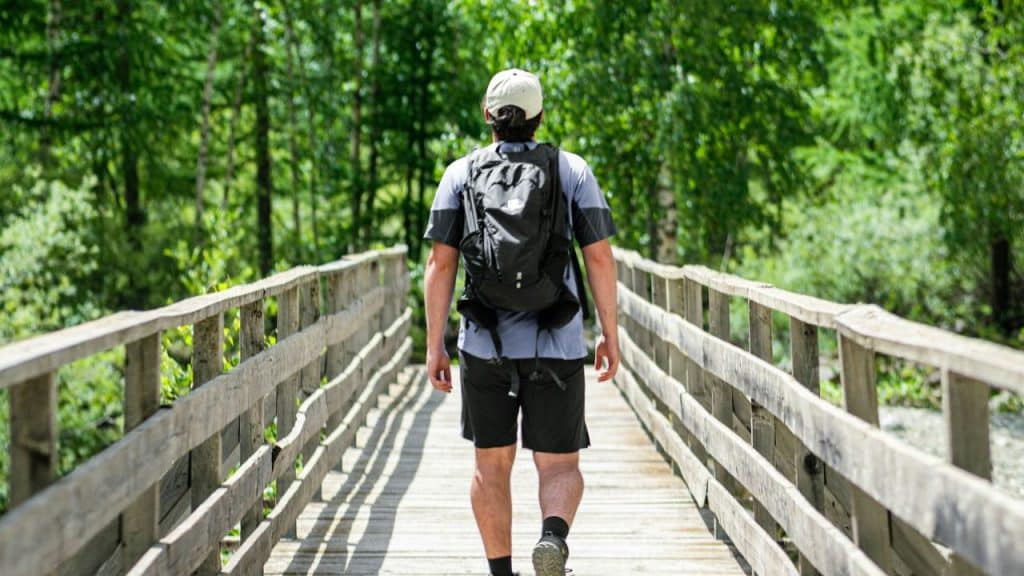 Man with a backpack and a cap walking away on a wooden bridge in a forest.