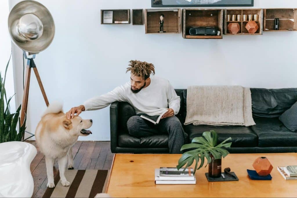 A man petting a dog