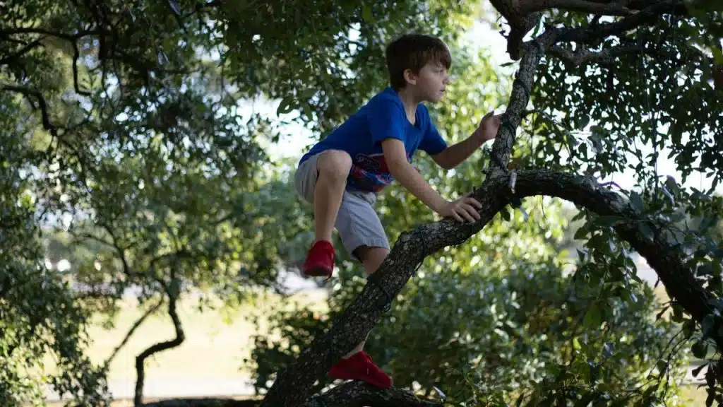 Young boy in a blue shirt climbing a thick, low tree branch outdoors.