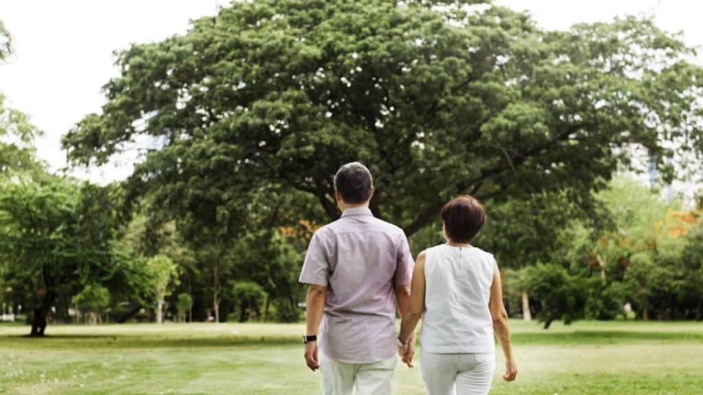 Mature couple walking slowly through a scenic park