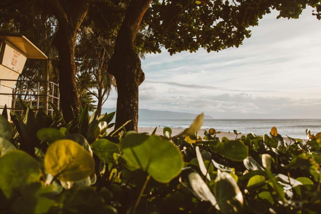 A picture in Maui, Hawaii