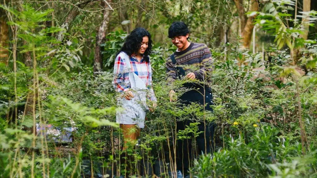 A man and a woman standing in a forest.