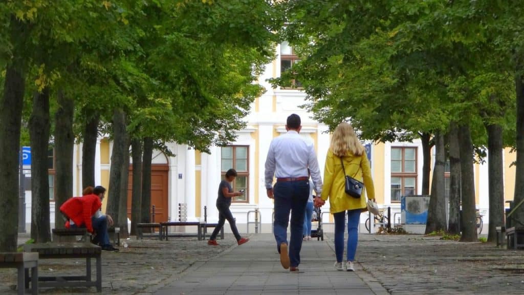 Couple holding hands walks down a tree-lined, paved walkway away from the camera.