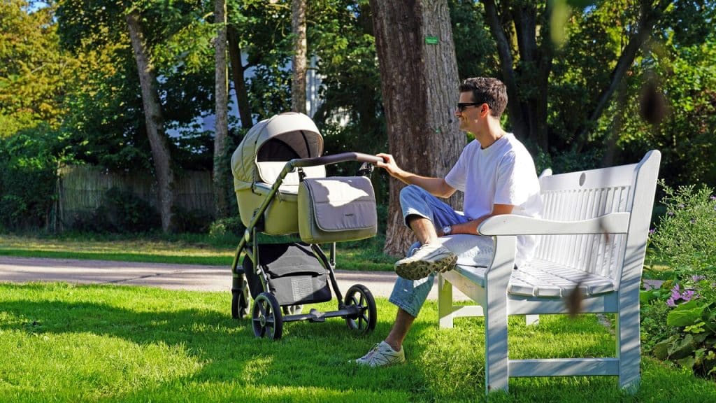 A dad with a stroller in the park