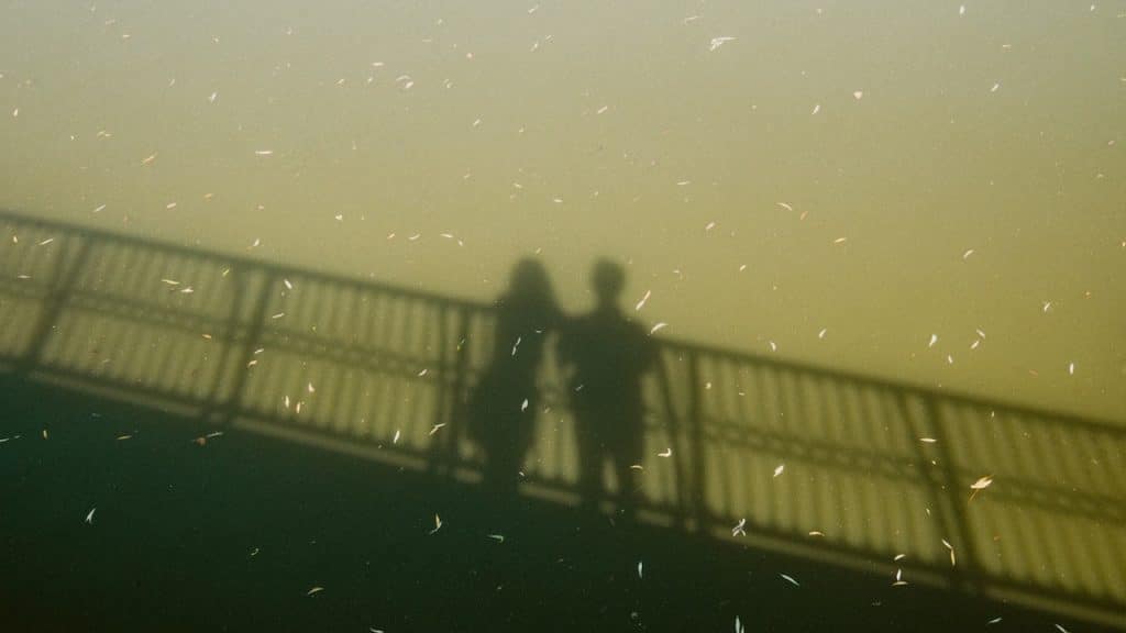 A shadow of two people standing on a bridge with railings, reflected on the surface of hazy, green water.
