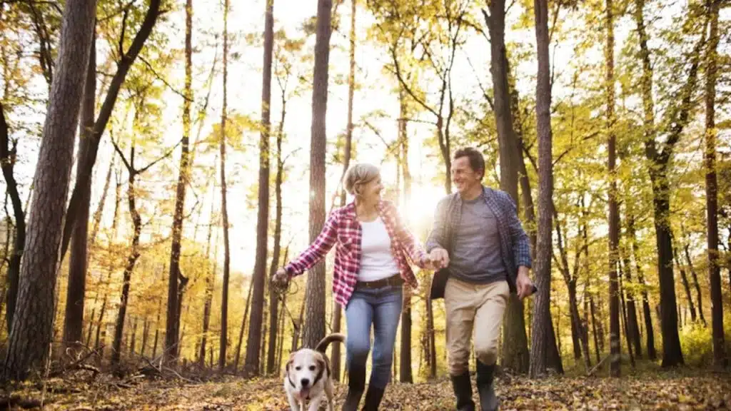 Couple walking hand in hand during sunrise