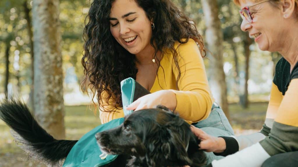 Two people petting a dog in a dog park.