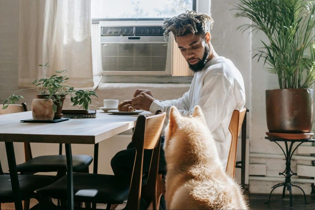 A man looking at his dog