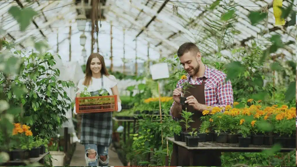 A couple working in a greenhouse with plants.