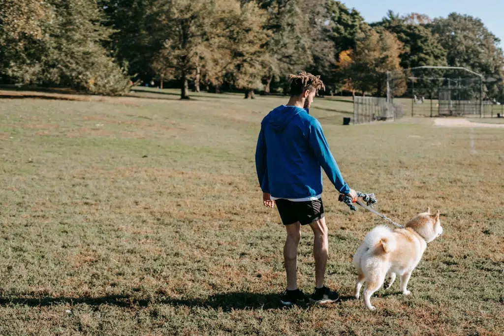 Unrecognizable ethnic owner with a purebred dog in a park