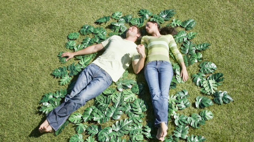 Two people lying in a circle of plants.
