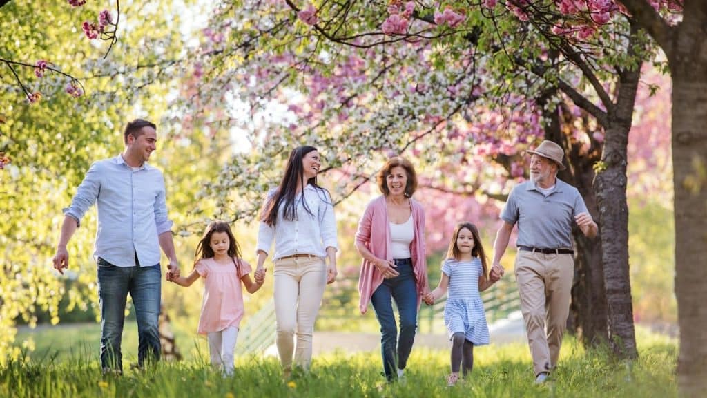 A multi-generational family of six, including two children, walking through a park on a sunny day with flowering cherry trees overhead.