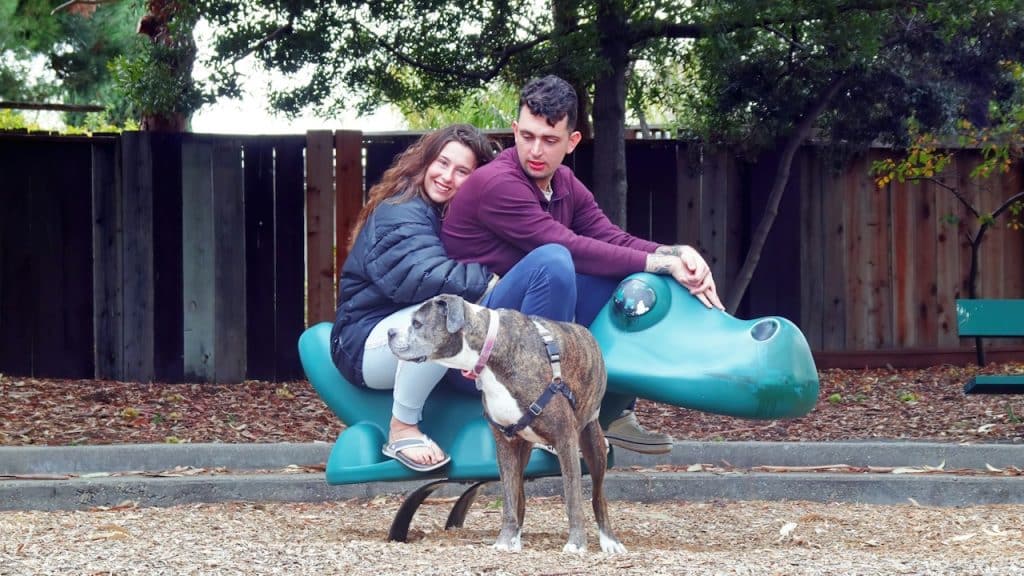 A happy couple sitting on a green dinosaur spring rider in a park, with their brindle dog standing in the foreground.