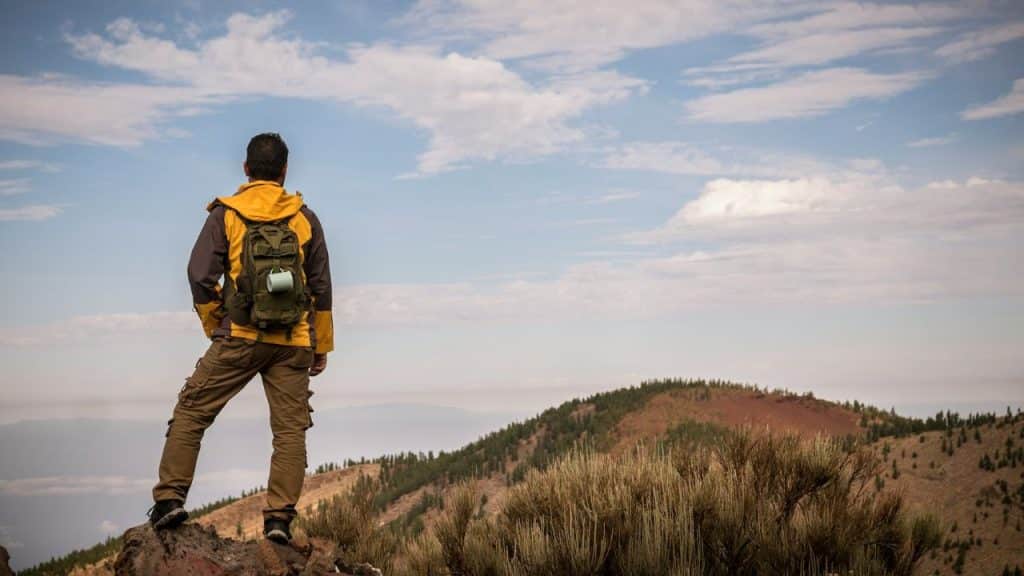 Hiker in a yellow jacket and backpack standing on a hilltop, looking out at the view.