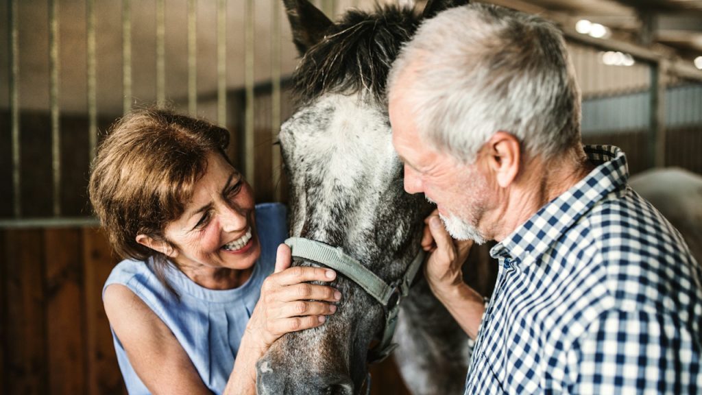 An elderly couple smiling and affectionately petting the head of a horse in a stable.