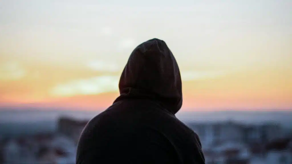 A person wearing a hoodie looking at the sunrise or sunset.